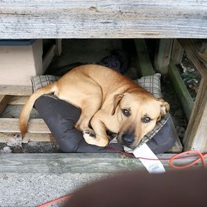 Meet your Posher, Mike